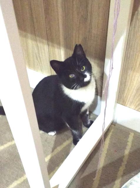 multimedia-foto36281-294-3