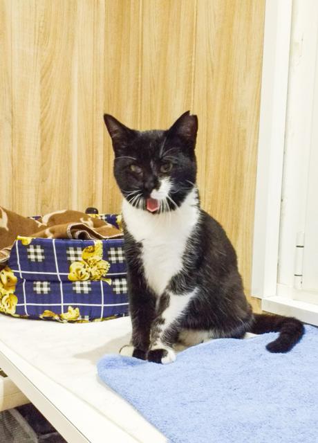 multimedia-foto36284-737-3