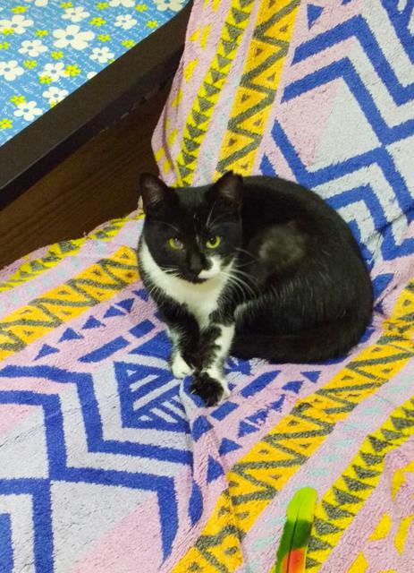 multimedia-foto36285-843-3