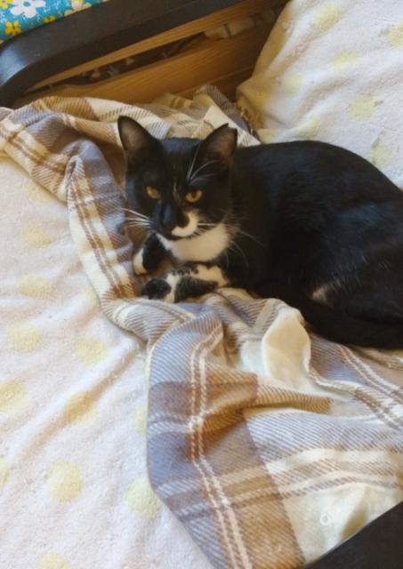 multimedia-foto36286-906-3