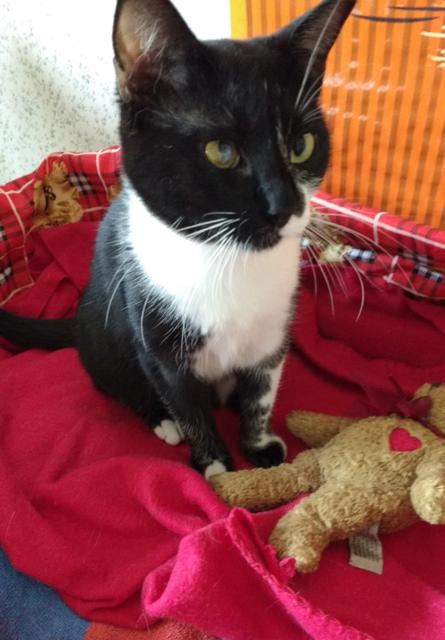 multimedia-foto36288-994-3