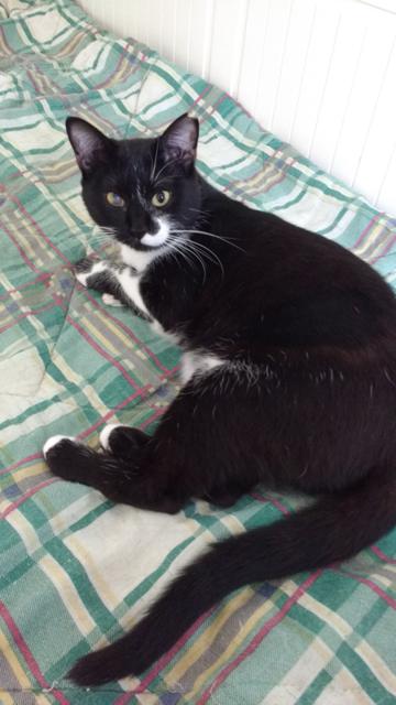 multimedia-foto36289-28-3