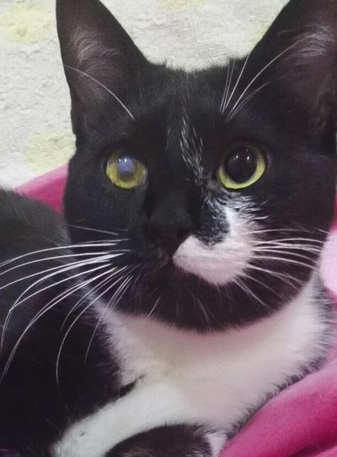 multimedia-foto36291-82-3