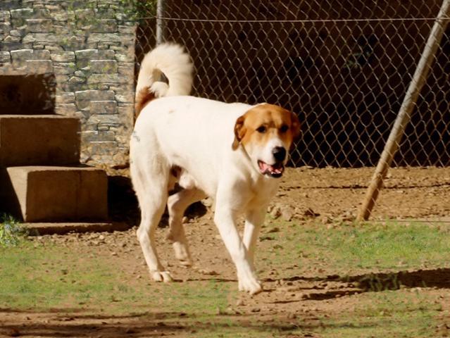 multimedia-foto36296-708-3