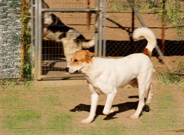 multimedia-foto36297-922-3