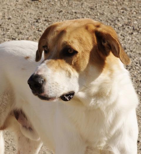 multimedia-foto36298-120-3