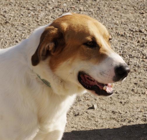 multimedia-foto36299-308-3