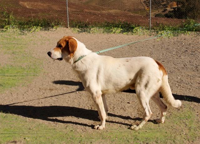 multimedia-foto36300-476-3