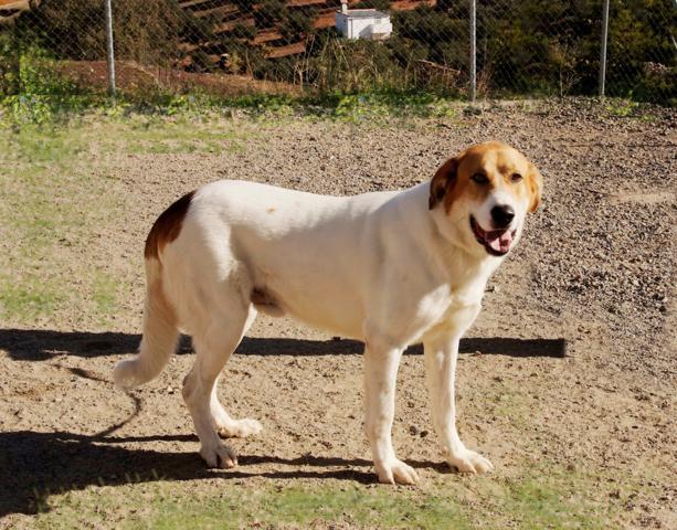 multimedia-foto36301-623-3