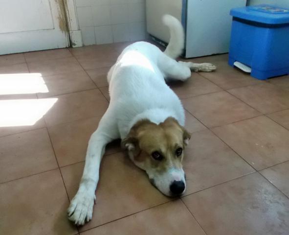 multimedia-foto36302-747-3