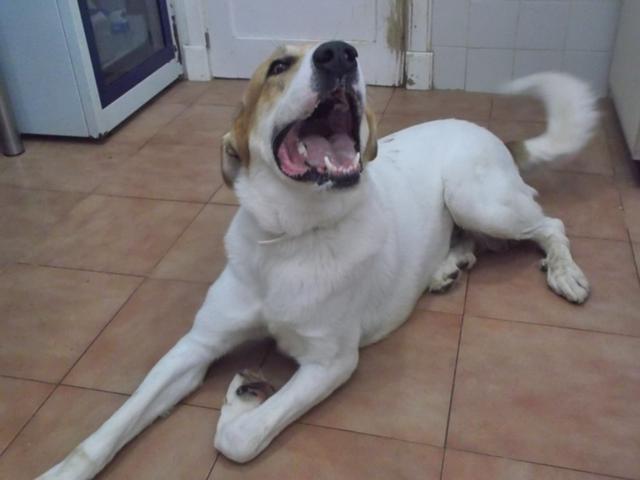 multimedia-foto36303-850-3