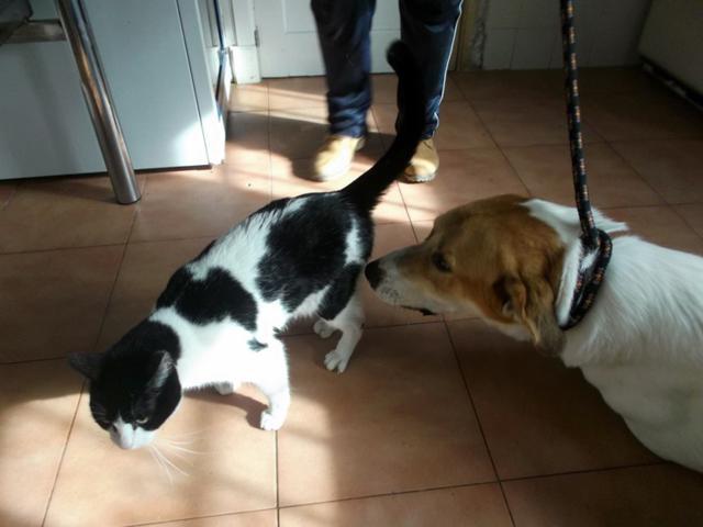 multimedia-foto36304-910-3