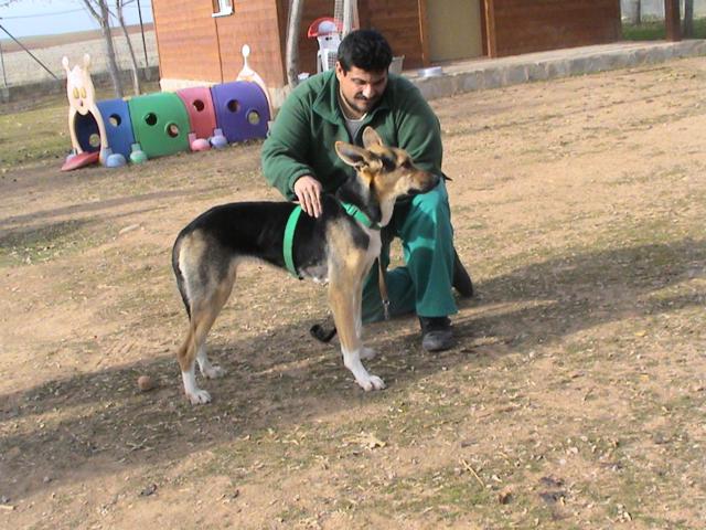 multimedia-foto36325-512-3