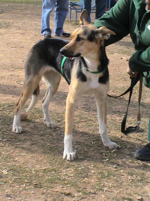 multimedia-foto36328-142-3