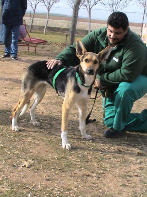 multimedia-foto36329-326-3