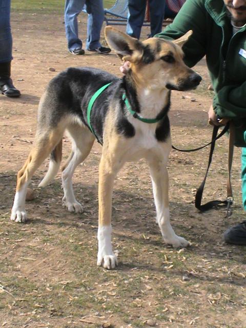 multimedia-foto36330-493-3