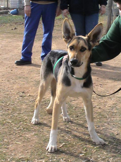 multimedia-foto36331-638-3