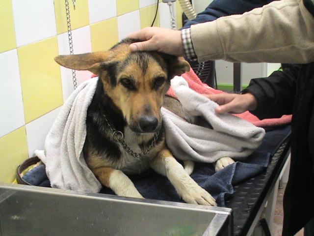 multimedia-foto36332-762-3