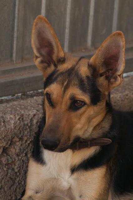 multimedia-foto36333-862-3