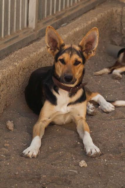 multimedia-foto36334-918-3