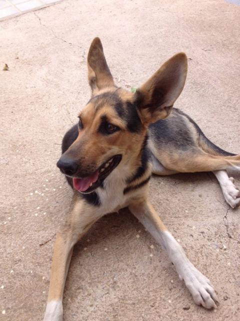 multimedia-foto36335-964-3