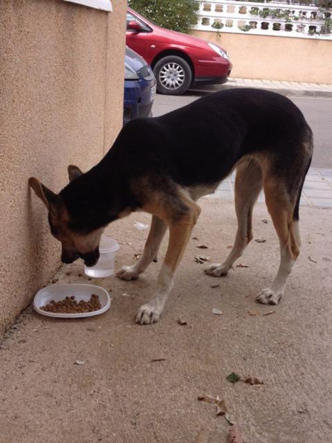 multimedia-foto36336-4-3