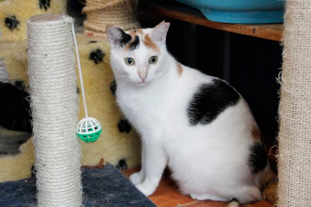 multimedia-foto36372-773-3