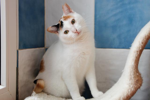 multimedia-foto36375-362-3