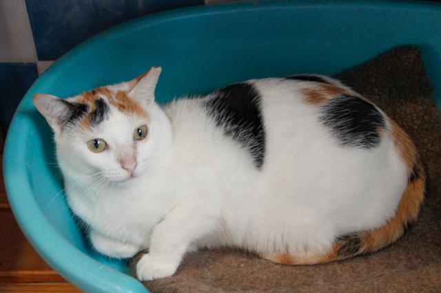 multimedia-foto36377-663-3