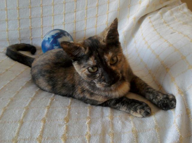 multimedia-foto36387-370-3