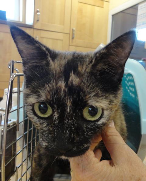 multimedia-foto36388-531-3