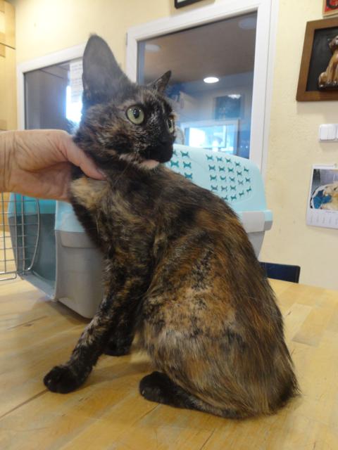 multimedia-foto36391-878-3