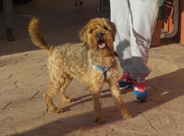 multimedia-foto36421-376-3