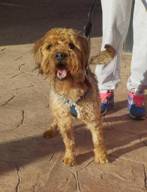 multimedia-foto36423-820-3