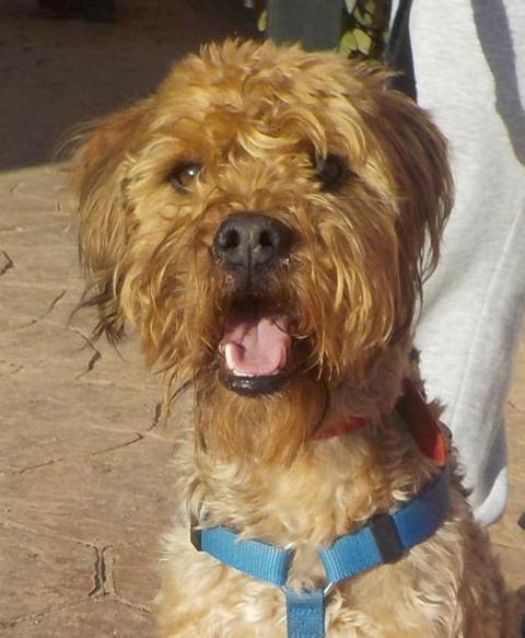 multimedia-foto36424-26-3