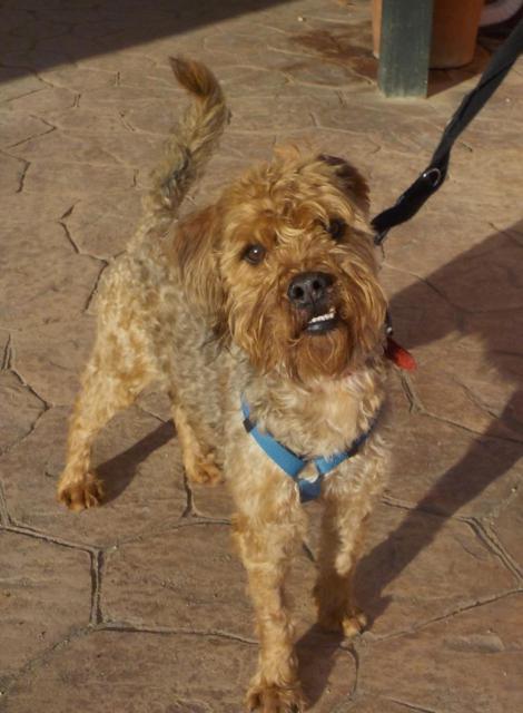 multimedia-foto36425-220-3