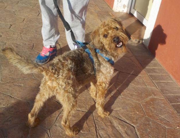 multimedia-foto36426-396-3