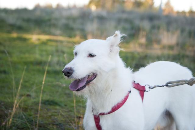 multimedia-foto36429-606-3