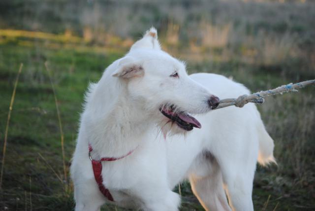 multimedia-foto36430-825-3