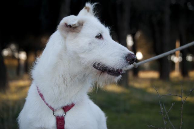 multimedia-foto36432-225-3