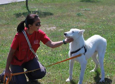 multimedia-foto36433-401-3