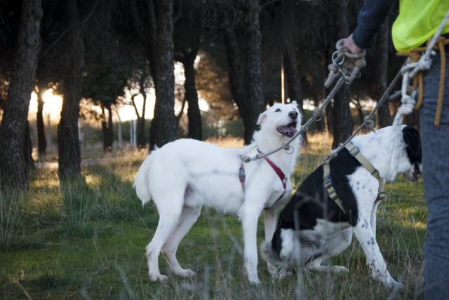 multimedia-foto36434-557-3