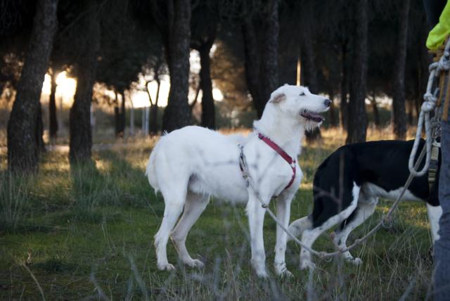 multimedia-foto36435-690-3