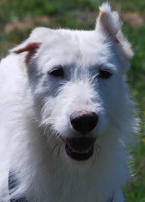 multimedia-foto36436-805-3