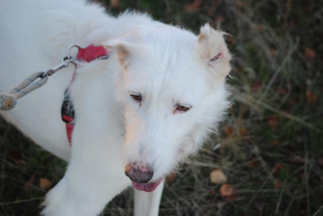 multimedia-foto36437-887-3