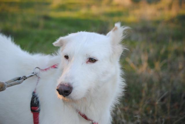 multimedia-foto36438-935-3