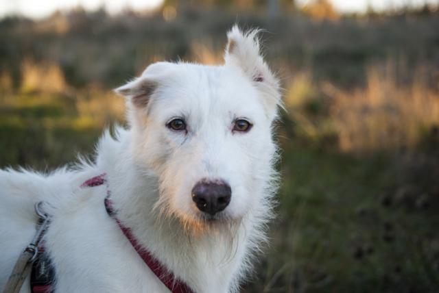 multimedia-foto36439-978-3