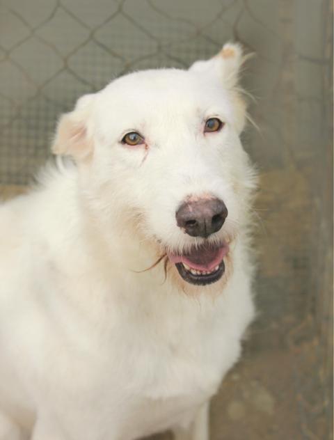 multimedia-foto36440-16-3