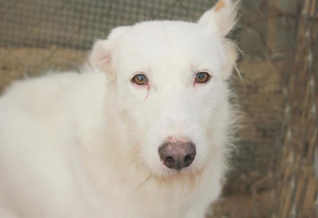 multimedia-foto36441-47-3