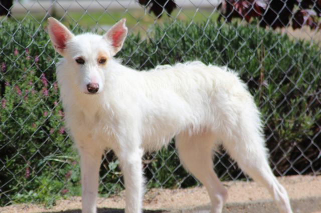 multimedia-foto36444-395-3